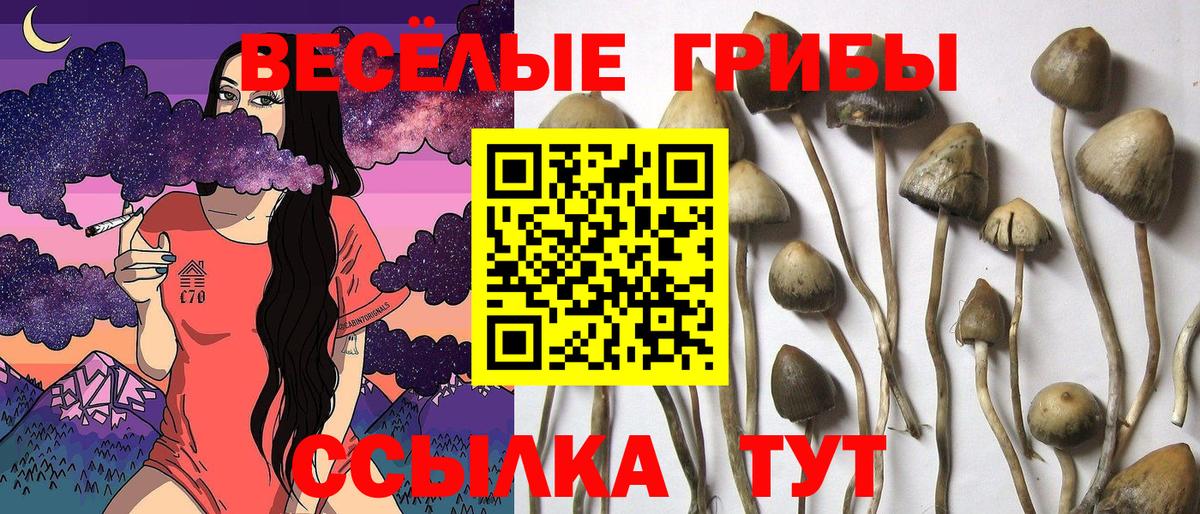 Абакан  Псилоцибиновые грибы Magic Shrooms  Вход с VPN 